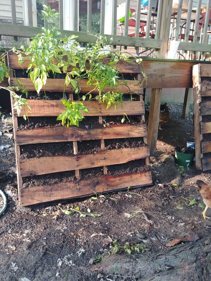 pallet gardening